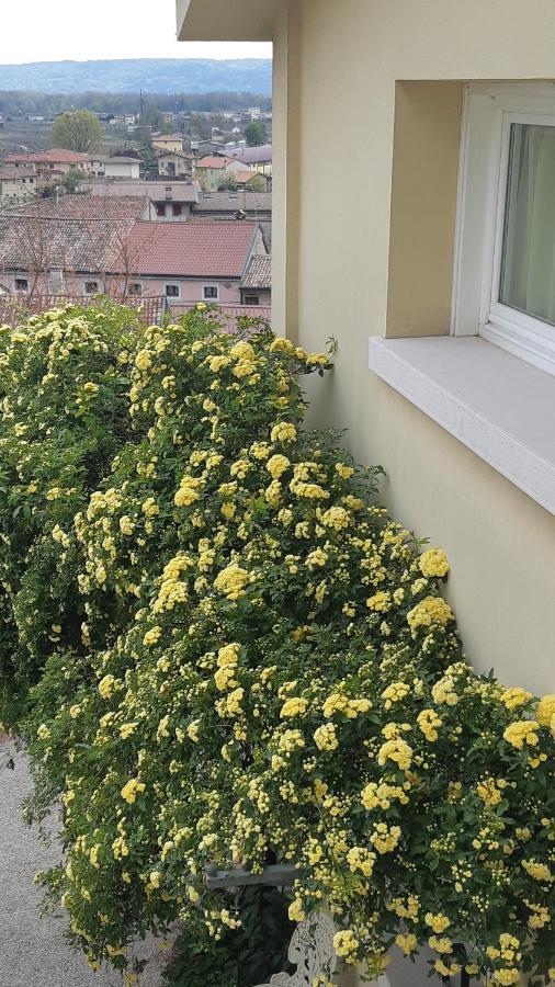 Casa Marinelli Hotel Farra di Soligo Kültér fotó